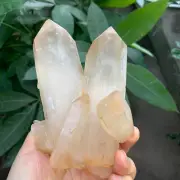 1.53LB Natural Clear White Quartz Crystal Cluster Rough Healing Specimen