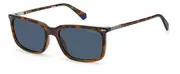 POLAROID-PLD 2117/S-9N4-5518-SUNGLASSES