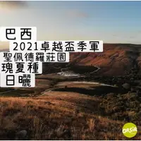 在飛比找蝦皮購物優惠-【COE咖啡豆】巴西 2021卓越盃季軍 聖佩德羅莊園 瑰夏