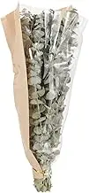 Dried Lavender Eucalyptus Shower Bundle Multi Use Floral Decor for Home Eucalyptus Stems with Lavender for Elegant Bathroom Wedding Decor Eucalyptus Stems