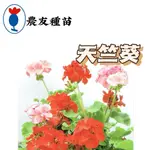 天竺葵【農友種苗】天竺葵種子 花卉原包裝種子 約6粒/包 新鮮種子