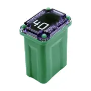 PEC 10-Pack 40A Slow-Blow Cartridge Micro Fuses