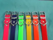 Dog collars 19" 21" 23" PIG FOX HUNTING HOUND GREYHOUND PET