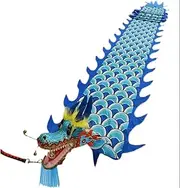 [KRILLIQ] Dance Ribbons Delicate 3D Dragon Head Fitness Streamer Outdoor Flinging Exercise Dragon Dance Folk Dance Dragon Ribbon for Festival Shows for Exercise