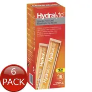 6 x Hydralyte Ice Block Liq Ornge 16Pk