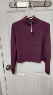 Eileen Fisher PLUM BLOSSOM Extra Fine Merino Wool Turtle Neck Top Size. S/P