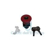 Omron A22EMK-145613000 Button A Mushroom Emergenza Ø40MM , Hole Ø22MM , with Key