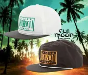 New Volcom Hawaii Frame Mens Snapback Cap Hat