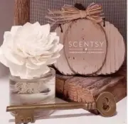 Scentsy Fragrance Flower New In Box Vanilla Bean Buttercream