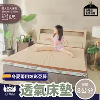 在飛比找momo購物網優惠-【BOSS BEDDING 小老闆寢具】雙人6尺冬夏亞藤8公