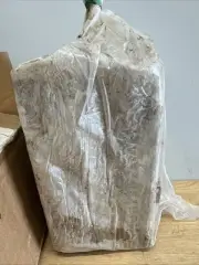 25lb Self Hardening Modeling Clay Air Dry non-fire 25 Lb