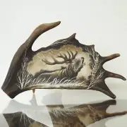 Real Antler Carving on Fallow Deer Antler shows Roaring Deer