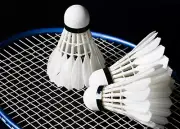 Shuttlecock Badminton Shuttlecocks Feather Shuttle Sale New White Grade Shuttles