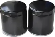 Motorcycle Oil Filter For XR1200 XR1200X 09-12 FLHS 87-94 FLHT 84-89 96-99 FLHTC 80-98 FLHR Road king 96-98 FLSTC Softail 80-99(2pc)