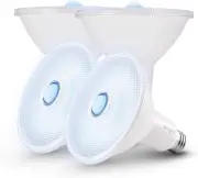 Sengled Motion Sensor Flood Lights 4 Count (Pack of 1), Daylight (5000k)