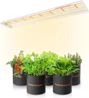 SF-600 LED Grow Light 2Ftx4Ft Coverage Sunlike Full Spectrum Plant Growing Lamp