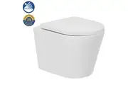 Johnson Suisse Venezia Raised Height, Rimless Wall Faced Pan & Seat