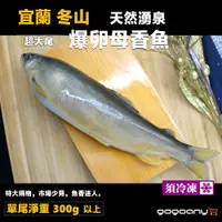 在飛比找松果購物優惠-【禾契鮮食】宜蘭冬山自然湧泉爆卵母香魚 (6.4折)