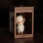 Walnut Sensor Display Case Vintage LED Storage Box for Figure Blind BoxesQt