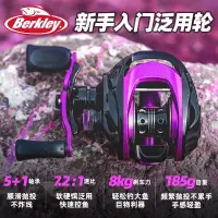 在飛比找蝦皮商城精選優惠-新品下殺 Berkley Lightning水滴輪遠投防炸線