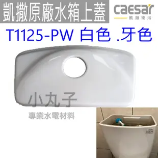 水電材料  附發票 凱撒 CAESAR 原廠水箱上蓋 T1125 T1125-PW 牙色 白色 水箱破掉 水箱裂掉 水箱