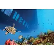 Save 10.00%! 2 Hours Sea Scope Semi Submarine with transfer from Marsa Alam