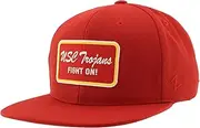 ZHATS Standard NCAA Officially Licensed Hat Flat Snapback Z11 Brick Team Color