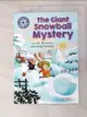 【書寶二手書T4／原文小說_G5C】Reading Champion: The Giant Snowball Mystery_A.H. Benjamin