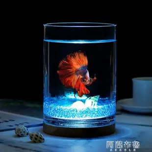 魚缸 燈光創意加厚魚缸透明玻璃斗魚缸小型觀賞辦公室客廳桌面孔雀魚缸 （下單贈送禮品 量大聯繫客服可優惠） 交換禮物全館免運