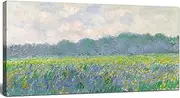 Claude Monet Canvas Wall Art - Field of Yellow Irises at Giverny 1887 Famous Painting Artwork Print Framed Picture for Home Office Wall Decor - 20" x 40"