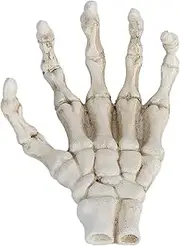 Halloween Skeleton Hands, Professional Pattern, High Hardness, Light Weight Hand Bone Ornaments for Teaching Tool and Bracket