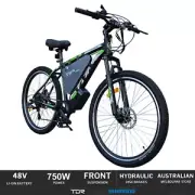 750W 29" Electric Bike Mountain Bicycle eBike e-Bike with 20Ah Lithium Battery