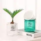 Transparent Plant Pot Plastic Garden Decor New Flower Pot