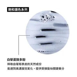 【L’OREAL 巴黎萊雅PRO】絲漾博飽和護色洗髮精雙入組(護色首選/染後持色/光澤)