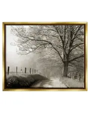 Rural Scenery Fenced Path Framed Floater Canvas Wall Art by Danita Delimont