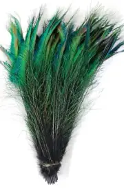 25 Pcs DYED PEACOCK SWORDS - BLACK10-15" Feathers; Costume/Hats/Bridal/Pads