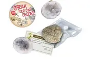 Crystal Wonderland Break Your Own Geode Rock - Set of 3