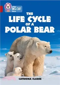 在飛比找三民網路書店優惠-The Life Cycle of a Polar Bear