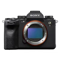 在飛比找PChome24h購物優惠-Sony A1 單眼數位相機 (公司貨)