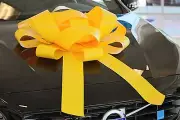 Giant Magnetic Car Bow, 30" Show Room Bows, Jum-Bows Yellow! Car Lot