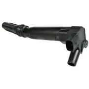 Ignition Coil WVE 5C1858