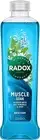 Radox Bath Muscle Soak with Sage & Sea Minerals Relaxing Bath Salts 500ml