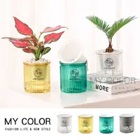 在飛比找PChome24h購物優惠-MY COLOR 花盆 盆栽 透明花盆 懶人花盆 水培花盆 