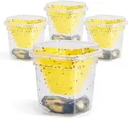 Fruit Fly Trap - 4 Pack - Non-Toxic No Baited Reusable Fruit Flies Catcher Environmentally Responsible Fruit Fly Killer Pet and People Safe
