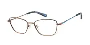 Radley RDO 6041 002 Men's Glasses Gold Size 51 - Private Health Rebate - Blue Light Block Available