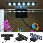 CUST AC220V 5W 12 LED AQUARIUM LIGHTS FISH JAR LAMP WHITE LI