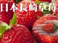 在飛比找Yahoo!奇摩拍賣優惠-"草莓一族"日本草莓種子/日本長崎草莓王/10粒入種子