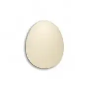 2.5" FOAM WHITE SPONGE EGG Prop Magic Trick Funny Chicken Clown Joke Gosh Soft