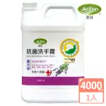 【JIE FEN 潔芬】抗菌洗手露4000ML補充桶(薰衣草)