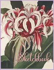 Sketchbook: Unique Notebook gift for Sketches, Drawing, Writing, Scribbles, Painting or Doodling. A perfect gift for adults, students, kids, artists!